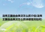 洛克王國自由黃靈怎么抓介紹(洛克王國自由黃靈怎么抓詳細(xì)情況如何)