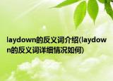 laydown的反義詞介紹(laydown的反義詞詳細情況如何)