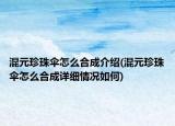 混元珍珠傘怎么合成介紹(混元珍珠傘怎么合成詳細(xì)情況如何)