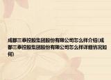 成都三泰控股集團股份有限公司怎么樣介紹(成都三泰控股集團股份有限公司怎么樣詳細情況如何)