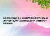 龍珠中雅木茶為什么這么倒霉是他真的不夠努力嗎介紹(龍珠中雅木茶為什么這么倒霉是他真的不夠努力嗎詳細(xì)情況如何)