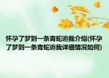 懷孕了夢(mèng)到一條青蛇追我介紹(懷孕了夢(mèng)到一條青蛇追我詳細(xì)情況如何)