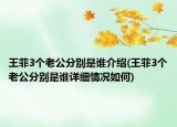 王菲3個(gè)老公分別是誰介紹(王菲3個(gè)老公分別是誰詳細(xì)情況如何)
