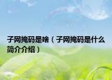 子網(wǎng)掩碼是啥（子網(wǎng)掩碼是什么簡介介紹）