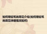 如何用鉛筆畫荷花介紹(如何用鉛筆畫荷花詳細情況如何)