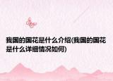 我國(guó)的國(guó)花是什么介紹(我國(guó)的國(guó)花是什么詳細(xì)情況如何)