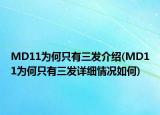 MD11為何只有三發(fā)介紹(MD11為何只有三發(fā)詳細(xì)情況如何)