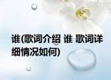 誰(shuí)(歌詞介紹 誰(shuí) 歌詞詳細(xì)情況如何)
