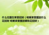 什么花擺在家里招財（明星家里擺放什么花招財 明星家里擺放哪些花招財）