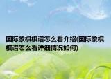 國際象棋棋譜怎么看介紹(國際象棋棋譜怎么看詳細(xì)情況如何)