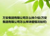 萬安集團有限公司怎么樣介紹(萬安集團有限公司怎么樣詳細情況如何)