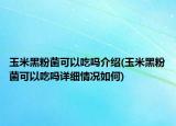 玉米黑粉菌可以吃嗎介紹(玉米黑粉菌可以吃嗎詳細情況如何)