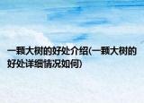 一顆大樹的好處介紹(一顆大樹的好處詳細情況如何)