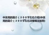 中吳用的簡介（３００字左右介紹(中吳用的簡介（３００字左右詳細情況如何)