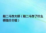 趙二斗炸大橋（趙二斗炸了什么橋簡介介紹）