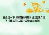 請介紹一下《雕花的馬鞍》介紹(請介紹一下《雕花的馬鞍》詳細情況如何)