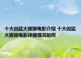 十大兇猛大猩猩電影介紹 十大兇猛大猩猩電影詳細情況如何