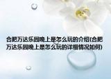 合肥萬(wàn)達(dá)樂(lè)園晚上是怎么玩的介紹(合肥萬(wàn)達(dá)樂(lè)園晚上是怎么玩的詳細(xì)情況如何)