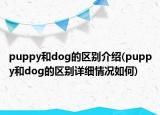 puppy和dog的區(qū)別介紹(puppy和dog的區(qū)別詳細情況如何)