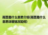 雨萱是什么意思介紹(雨萱是什么意思詳細(xì)情況如何)