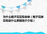 為什么梔子花花苞會(huì)掉（梔子花掉花苞是什么原因簡(jiǎn)介介紹）