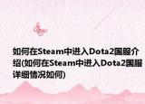 如何在Steam中進(jìn)入Dota2國(guó)服介紹(如何在Steam中進(jìn)入Dota2國(guó)服詳細(xì)情況如何)