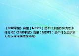 《SNK拳皇》音巢（NESTS）是個什么組織實力怎么樣介紹(《SNK拳皇》音巢（NESTS）是個什么組織實力怎么樣詳細情況如何)