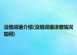 沒組詞語介紹(沒組詞語詳細情況如何)