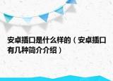 安卓插口是什么樣的（安卓插口有幾種簡介介紹）