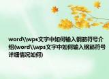word\wps文字中如何輸入鋼筋符號(hào)介紹(word\wps文字中如何輸入鋼筋符號(hào)詳細(xì)情況如何)