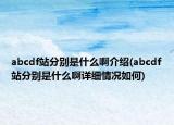 abcdf站分別是什么啊介紹(abcdf站分別是什么啊詳細(xì)情況如何)