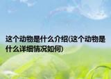 這個(gè)動(dòng)物是什么介紹(這個(gè)動(dòng)物是什么詳細(xì)情況如何)
