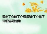 愛(ài)走了心碎了介紹(愛(ài)走了心碎了詳細(xì)情況如何)