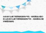 山東有什么便于攜帶的吃的特產(chǎn)嗎(一時(shí)間真有點(diǎn)蒙介紹 山東有什么便于攜帶的吃的特產(chǎn)嗎 一時(shí)間真有點(diǎn)蒙詳細(xì)情況如何)