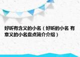 好聽有含義的小名（好聽的小名 有意義的小名盤點簡介介紹）