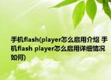 手機(jī)flash(player怎么啟用介紹 手機(jī)flash player怎么啟用詳細(xì)情況如何)