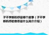 子不學(xué)斷機(jī)杼是哪個(gè)故事（子不學(xué)斷機(jī)杼的意思是什么簡介介紹）