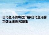 白烏魚湯的功效介紹(白烏魚湯的功效詳細情況如何)
