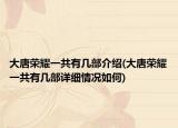 大唐榮耀一共有幾部介紹(大唐榮耀一共有幾部詳細(xì)情況如何)