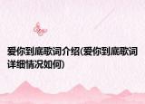 愛你到底歌詞介紹(愛你到底歌詞詳細情況如何)