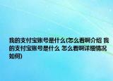 我的支付寶賬號(hào)是什么(怎么看啊介紹 我的支付寶賬號(hào)是什么 怎么看啊詳細(xì)情況如何)