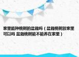 家里能種桃樹的盆栽嗎（盆栽桃樹放家里可以嗎 盆栽桃樹能不能養(yǎng)在家里）