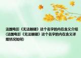 法國電影《無法觸碰》這個名字的內(nèi)在含義介紹(法國電影《無法觸碰》這個名字的內(nèi)在含義詳細情況如何)