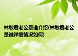 林敏君老公是誰介紹(林敏君老公是誰詳細(xì)情況如何)