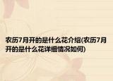 農(nóng)歷7月開的是什么花介紹(農(nóng)歷7月開的是什么花詳細(xì)情況如何)