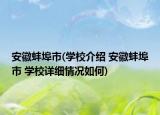 安徽蚌埠市(學校介紹 安徽蚌埠市 學校詳細情況如何)