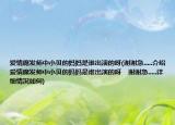 愛(ài)情魔發(fā)師中小貝的媽媽是誰(shuí)出演的呀(謝謝急.....介紹 愛(ài)情魔發(fā)師中小貝的媽媽是誰(shuí)出演的呀    謝謝急.....詳細(xì)情況如何)