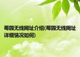 莓園無線網(wǎng)址介紹(莓園無線網(wǎng)址詳細情況如何)