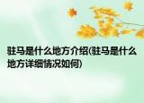 駐馬是什么地方介紹(駐馬是什么地方詳細(xì)情況如何)