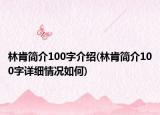林肯簡介100字介紹(林肯簡介100字詳細情況如何)